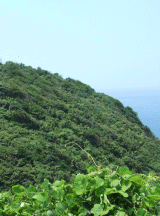 美保関灯台1