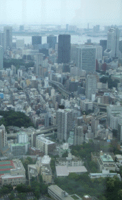 森タワー49階6