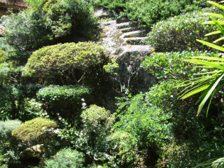西念寺6