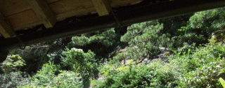 西念寺5